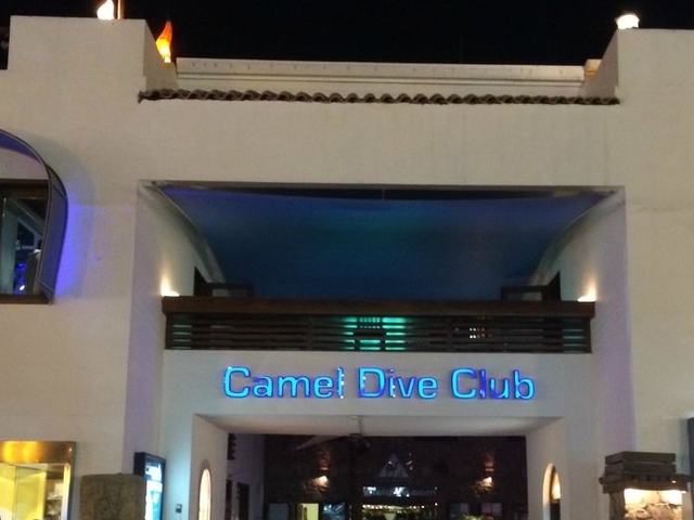 фотографии отеля Camel Dive Club & Hotel изображение №7