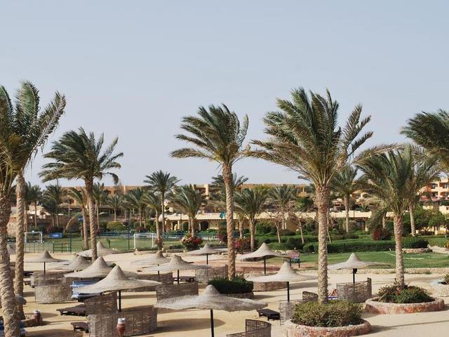 фото Blend Elphistone Resort (ex. Elphistone Resort Marsa Alam) изображение №26