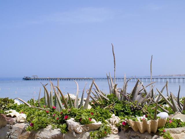 фото отеля Flamenco Beach & Resort изображение №37