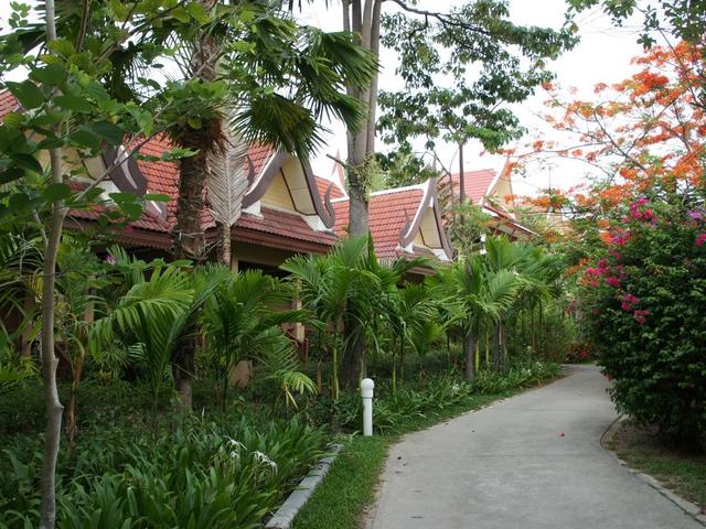 фотографии отеля Palm Village изображение №15