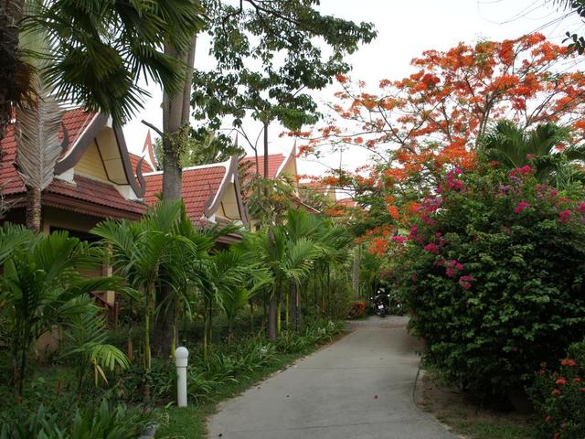 фото отеля Palm Village изображение №9