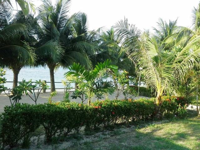 фото отеля Krisada Beach Resort изображение №17