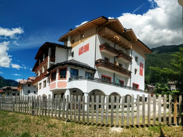 фотографии отеля Hotel Stella Alpina изображение №3