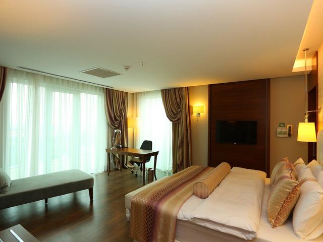 фотографии Holiday Inn Ankara - Cukurambar изображение №64