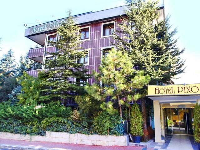 фото отеля Ankara Hotel Pino изображение №1