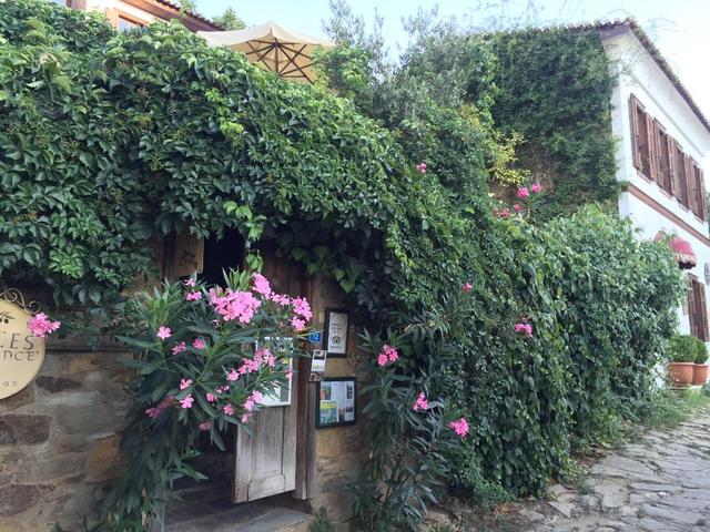 фото отеля Terrace Houses Sirince - Fig, Olive and Grapevine изображение №5