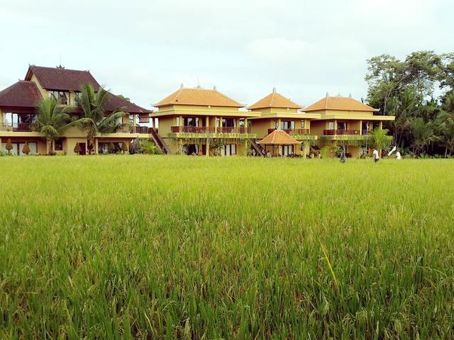 фотографии Sri Bungalows Ubud изображение №12