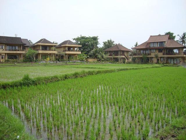 фото отеля Sri Bungalows Ubud изображение №9