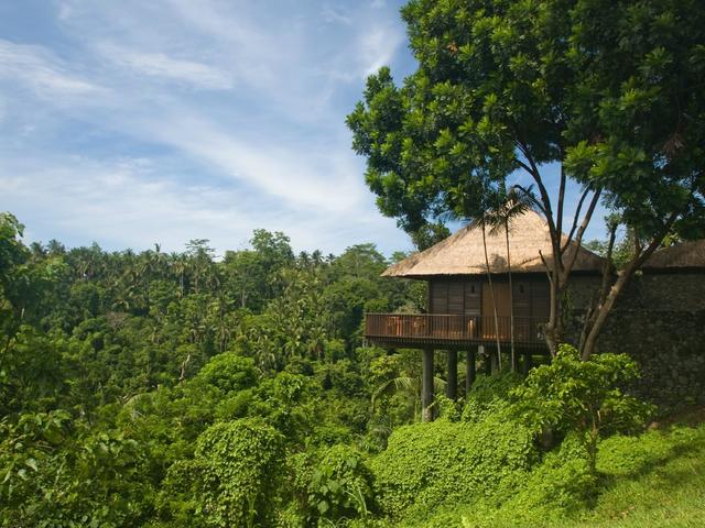 фотографии отеля Alila Ubud изображение №15