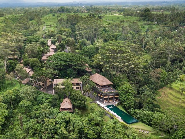 фото Alila Ubud изображение №2