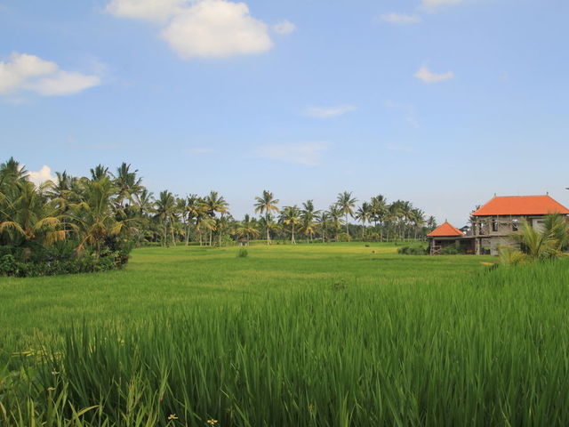 фото отеля Bakung Ubud Resort & Villa изображение №77