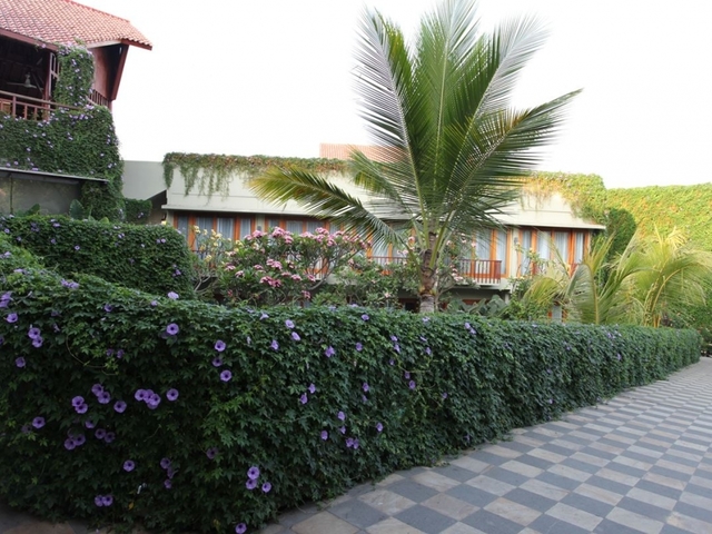 фото отеля Ubud Wana Resort изображение №45