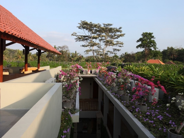 фотографии отеля Ubud Wana Resort изображение №43