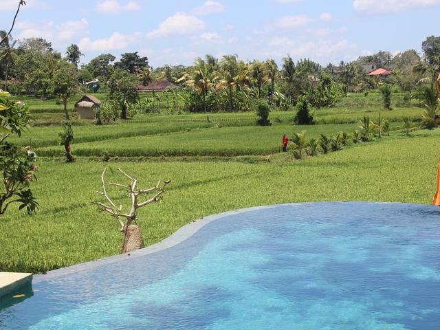 фото отеля Ubud Padi изображение №21