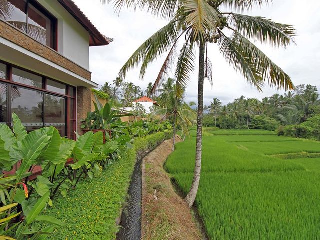 фото Ubud Green изображение №30