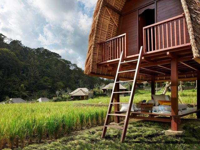 фото Mandapa, A Ritz-Carlton Reserve изображение №14