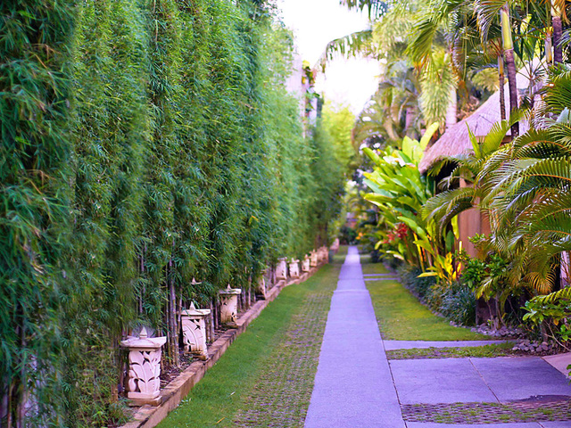 фотографии Maya Sayang Villas in Seminyak Bali изображение №20