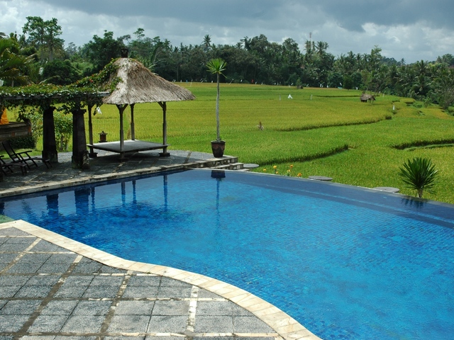 фотографии отеля Bumi Ubud Resort изображение №3