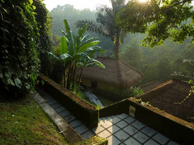 фотографии отеля Nandini Jungle by Hanging Gardens (ex. Nandini Bali Jungle Resort & Spa) изображение №47