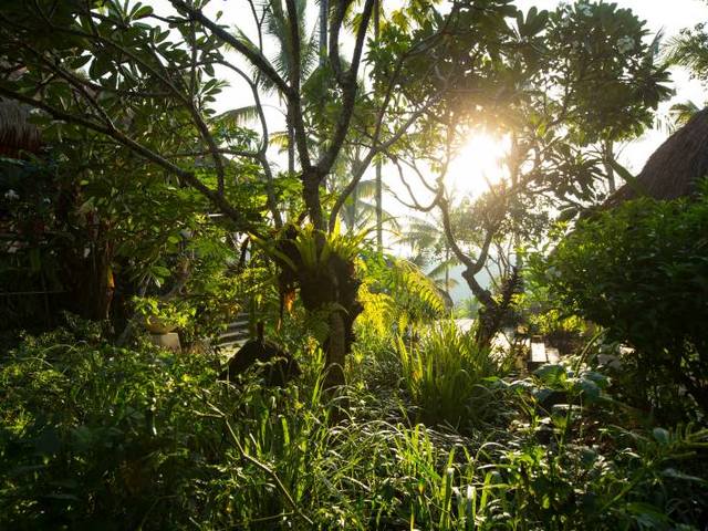 фото отеля Nandini Jungle by Hanging Gardens (ex. Nandini Bali Jungle Resort & Spa) изображение №45