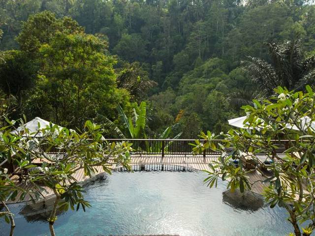 фотографии отеля Nandini Jungle by Hanging Gardens (ex. Nandini Bali Jungle Resort & Spa) изображение №43