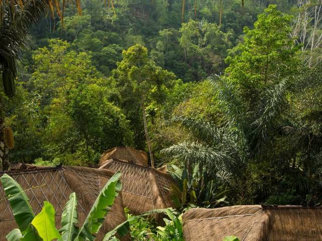 фото Nandini Jungle by Hanging Gardens (ex. Nandini Bali Jungle Resort & Spa) изображение №42