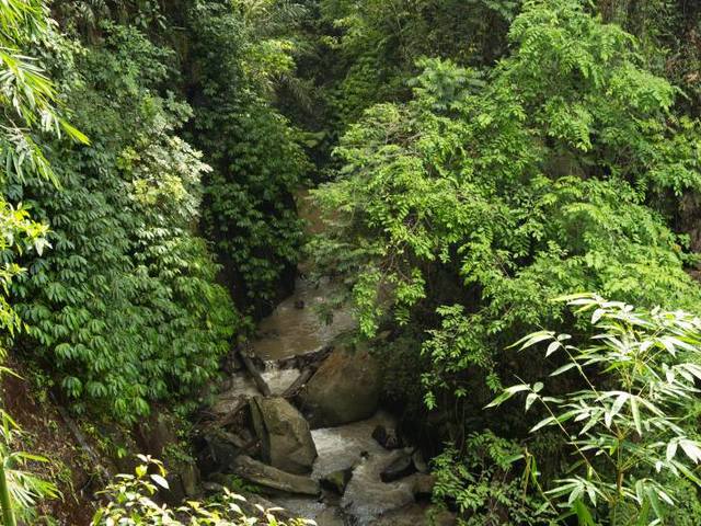фото Nandini Jungle by Hanging Gardens (ex. Nandini Bali Jungle Resort & Spa) изображение №38