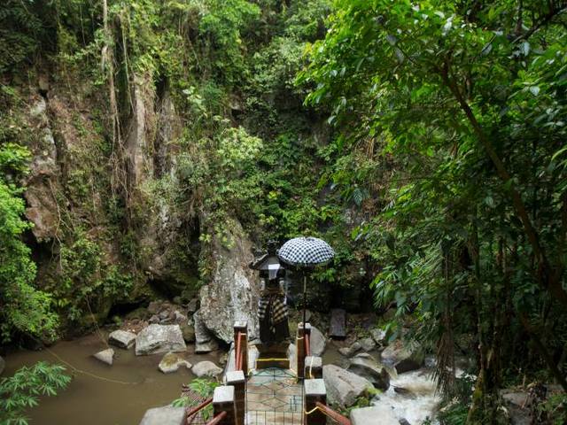 фотографии Nandini Jungle by Hanging Gardens (ex. Nandini Bali Jungle Resort & Spa) изображение №28