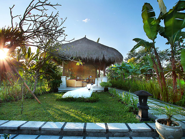 фотографии отеля Nandini Jungle by Hanging Gardens (ex. Nandini Bali Jungle Resort & Spa) изображение №27