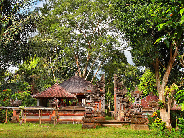 фото отеля Nandini Jungle by Hanging Gardens (ex. Nandini Bali Jungle Resort & Spa) изображение №17