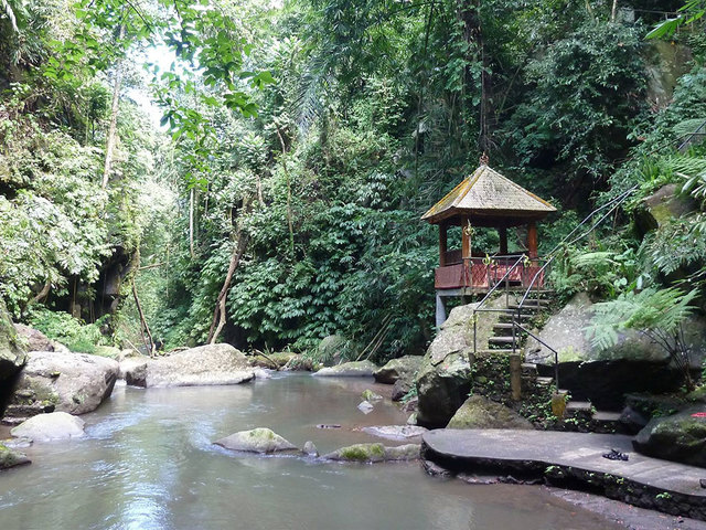 фото Nandini Jungle by Hanging Gardens (ex. Nandini Bali Jungle Resort & Spa) изображение №2