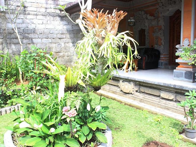 фото отеля Ubud Sensasi Bungalows изображение №37