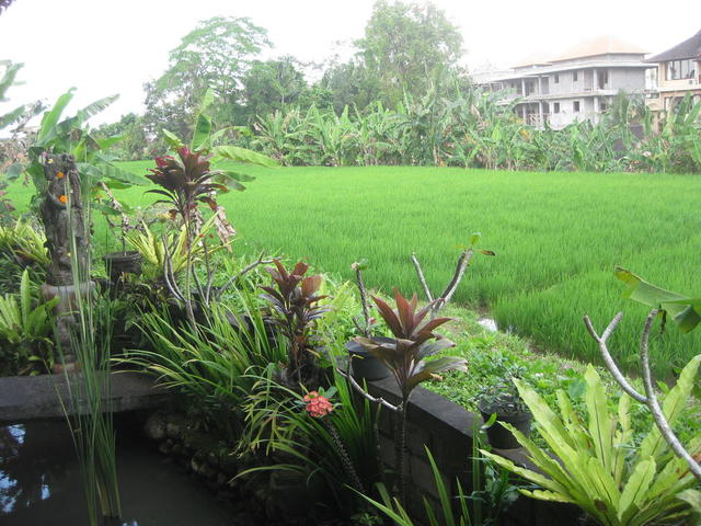 фотографии Ubud Sensasi Bungalows изображение №8