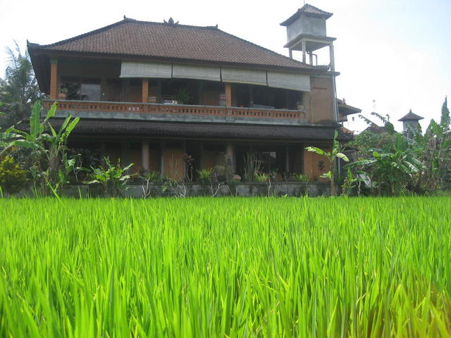 фотографии отеля Ubud Sensasi Bungalows изображение №3