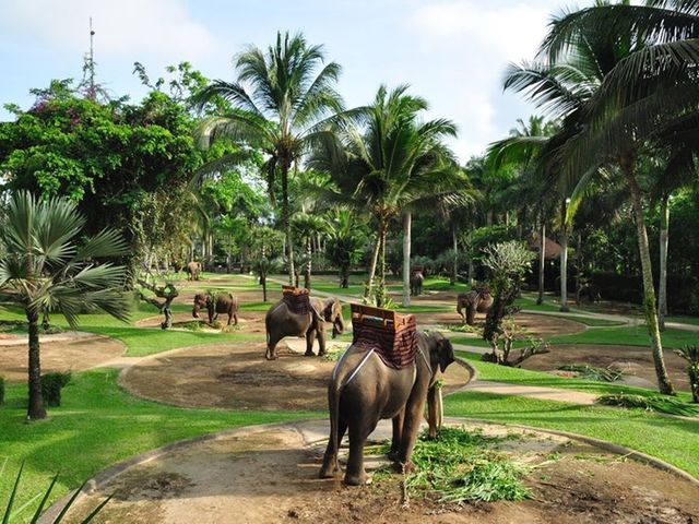 фото отеля Mason Elephant Park & Lodge (Elephant Safari Park Lodge) изображение №33