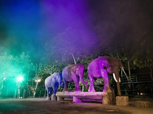 фото отеля Mason Elephant Park & Lodge (Elephant Safari Park Lodge) изображение №25