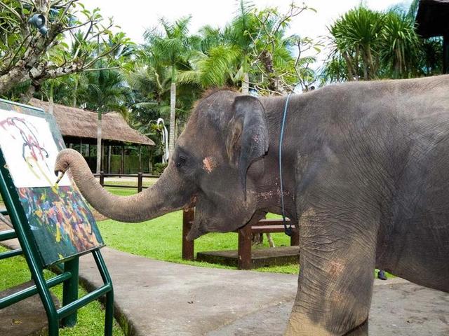 фото Mason Elephant Park & Lodge (Elephant Safari Park Lodge) изображение №22