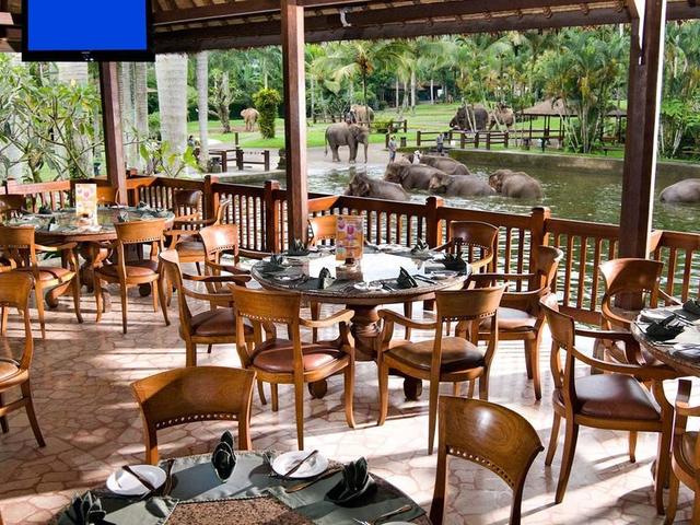 фото отеля Mason Elephant Park & Lodge (Elephant Safari Park Lodge) изображение №21