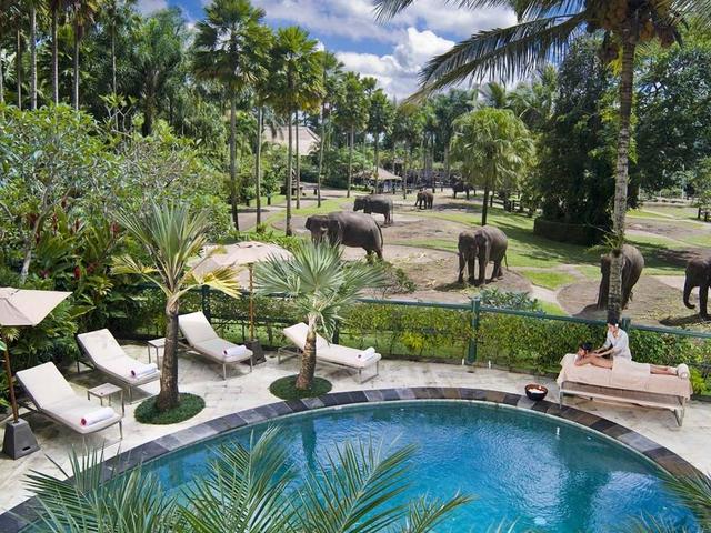 фото отеля Mason Elephant Park & Lodge (Elephant Safari Park Lodge) изображение №1