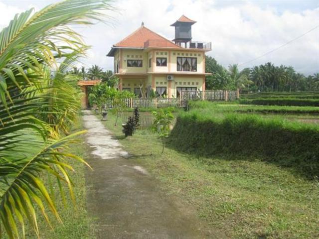 фотографии Bali Suksma Villa Ubud изображение №8