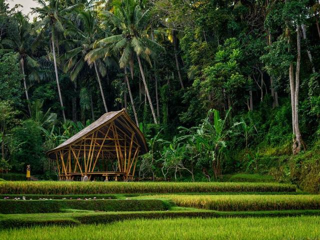 фотографии отеля Four Seasons Resort Bali at Sayan изображение №39