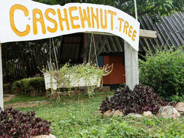фото отеля Cashewnut Tree Bungalows изображение №21