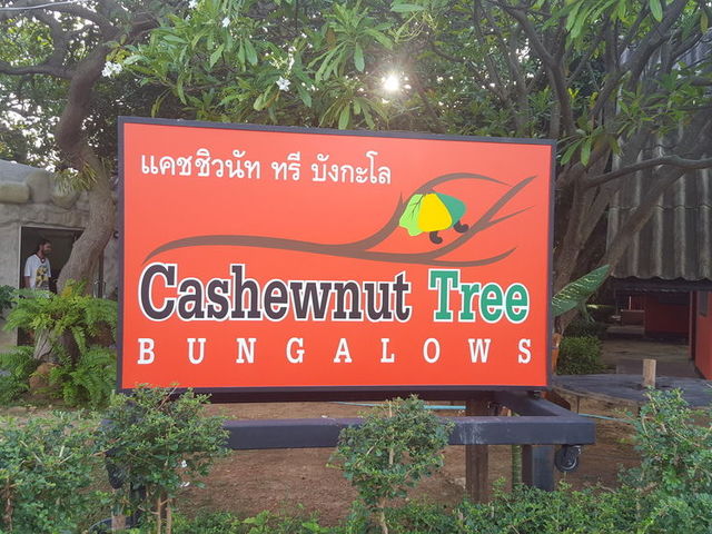 фотографии Cashewnut Tree Bungalows изображение №20