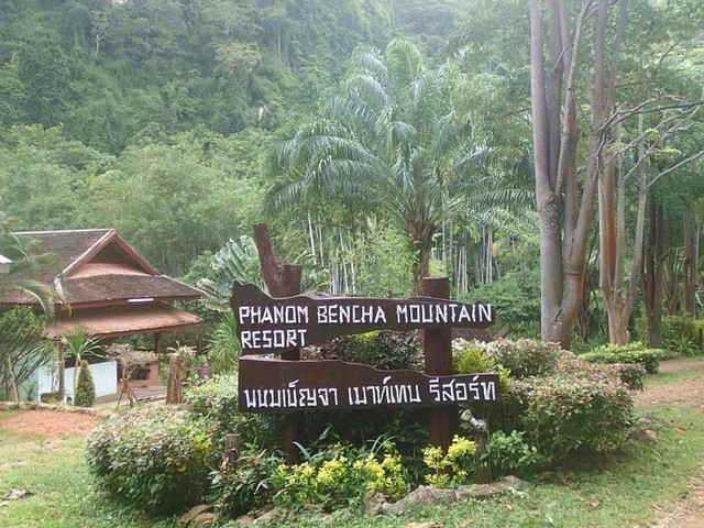 фотографии отеля Phanom Bencha Mountain Resort изображение №39