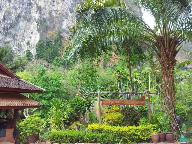 фото Phanom Bencha Mountain Resort изображение №34
