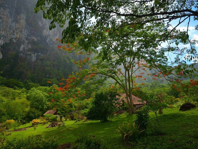 фото Phanom Bencha Mountain Resort изображение №30