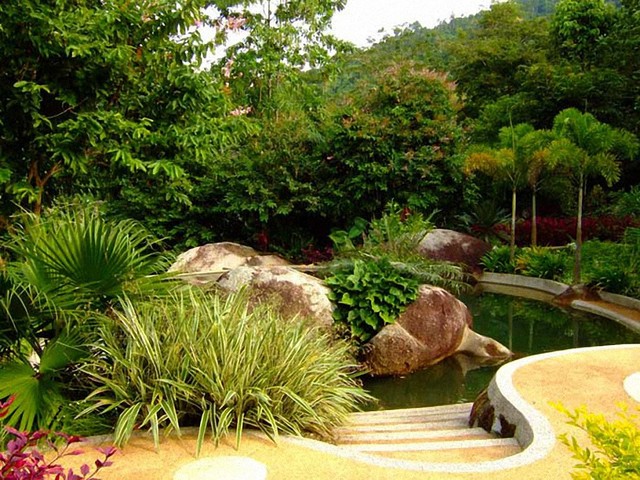 фотографии Phanom Bencha Mountain Resort изображение №20