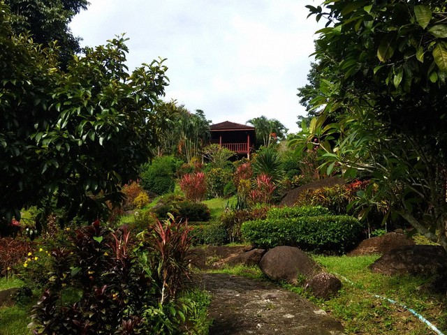 фото Phanom Bencha Mountain Resort изображение №18