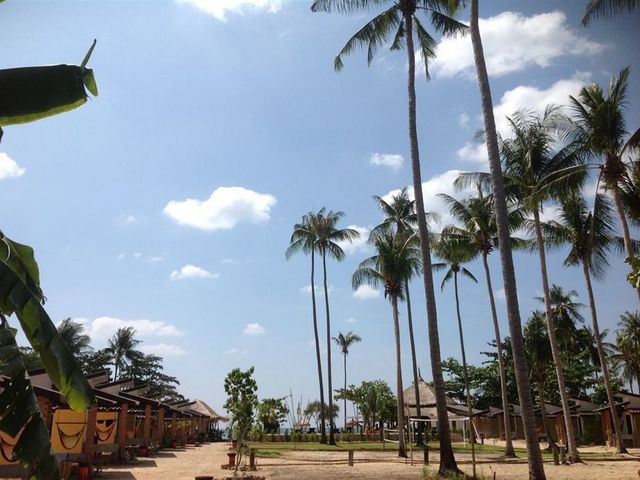 фото Coco Lanta Eco Resort изображение №46