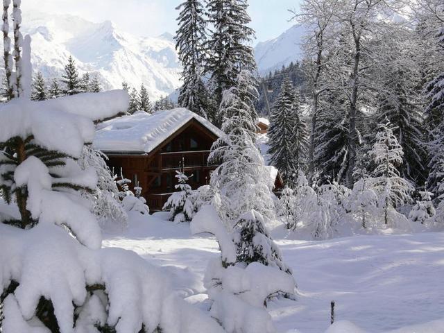 фото отеля Madame Vacances Les Chalets De La Tania изображение №13